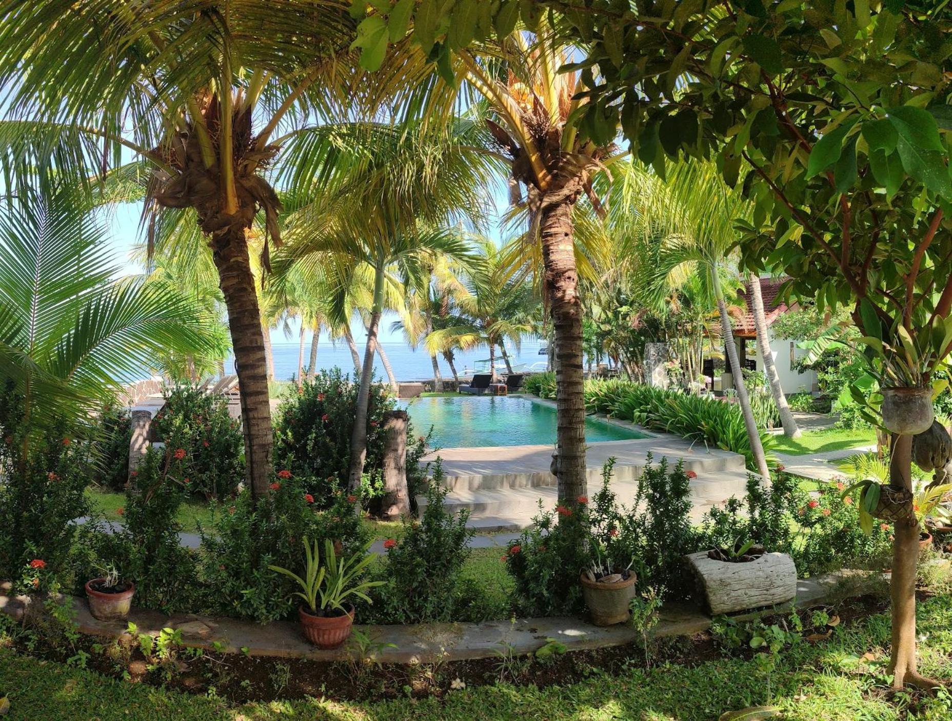 1000 Dream Bungalow Lovina  Exterior photo